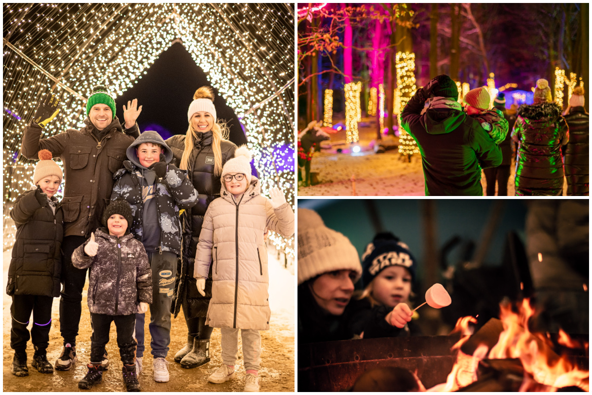 Enchanted Light Trail at Cotswold Farm Park